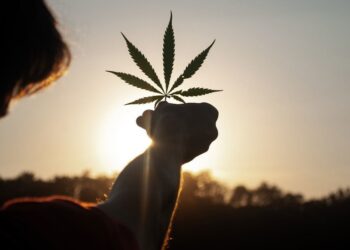 Cannabis for stress and anxiety