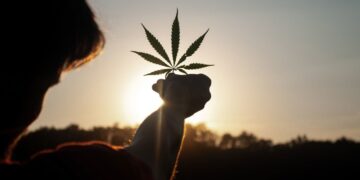 Cannabis for stress and anxiety