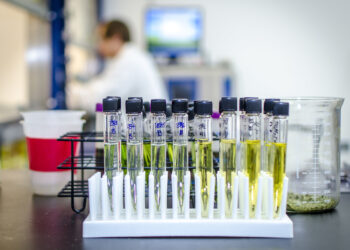 Lab in Reno