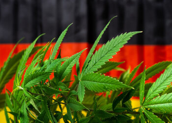 Germany and Hemp