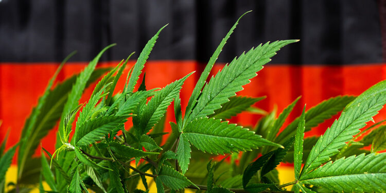 Germany and Hemp