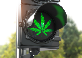 hemp law firm