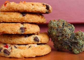 Who Knew Cannabis Made Cookies?