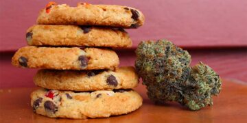 Who Knew Cannabis Made Cookies?