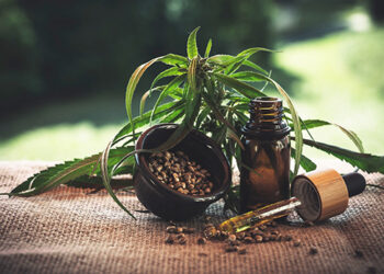 How Cannabis can save Life